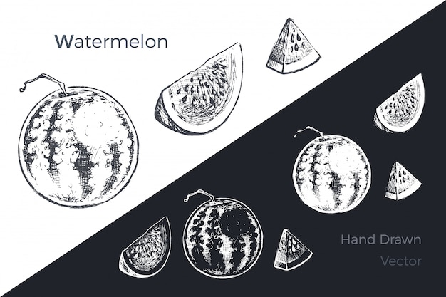 Vector hand drawn watermelon set