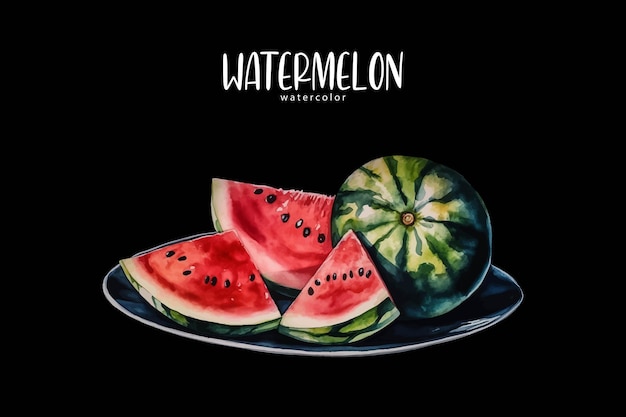 Vector hand drawn watermelon slices on a plate background