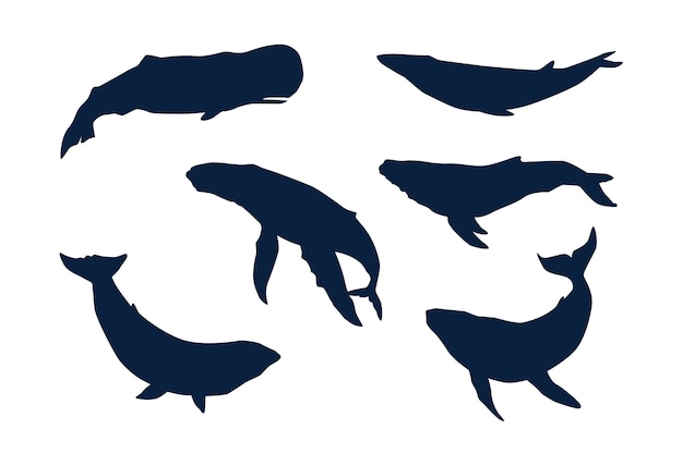 ベクトル 手描きのクジラのシルエット