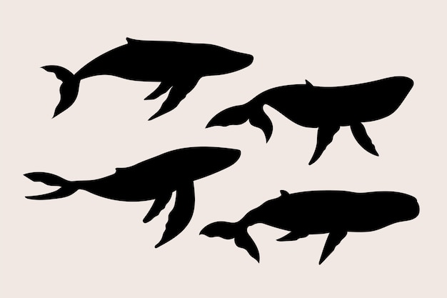 Vector hand drawn whale silhouette