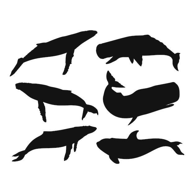 Hand drawn whale  silhouette