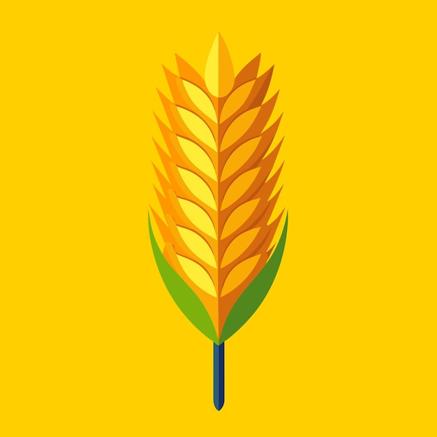 Vector hand drawn wheat and grains