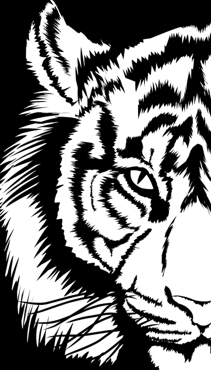 Vector hand drawn white tiger illustration