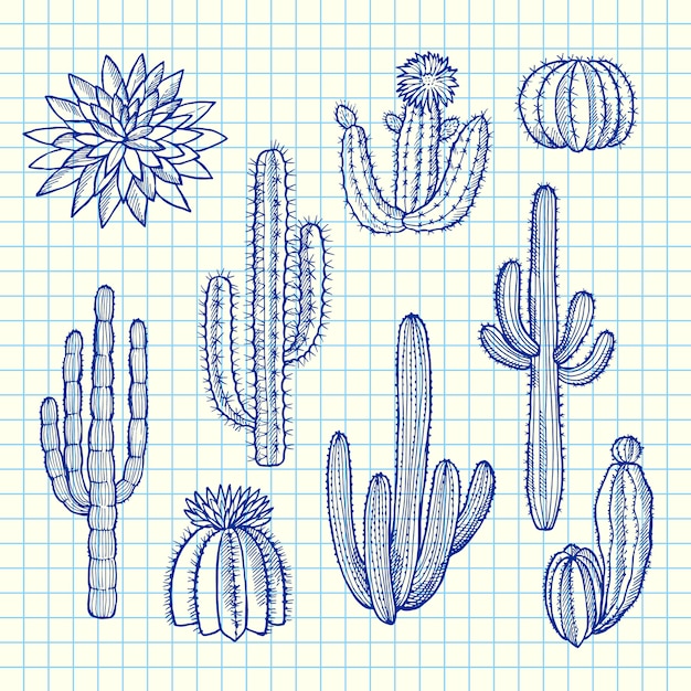 Vector hand drawn wild cacti plants set on blue cell sheet illustration
