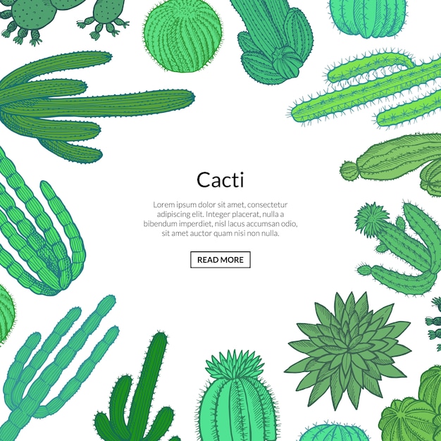Hand drawn wild cacti