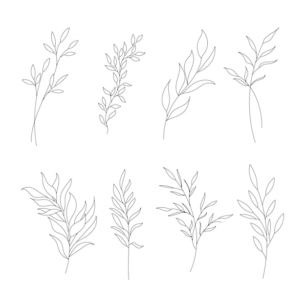 Вектор Ручно нарисованная дикая полевая флора цветы листья травы растения ветви минимальная цветочная ботаническая линия