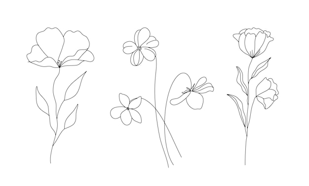 Vector hand drawn wild field flora flowers leaves herbs plants branches minimal floral botanical line