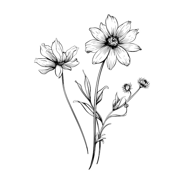 手描いた野生の花のベクトル