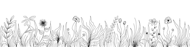 Hand drawn wild grass and flowers black and white illustration