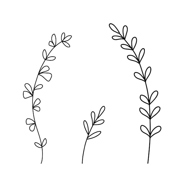 Set di fiori di campo disegnati a mano schizzo di fiori di contorno vettoriale line art doodle isolato su bianco