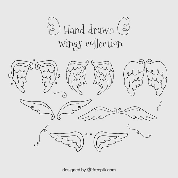 Hand drawn wings collection