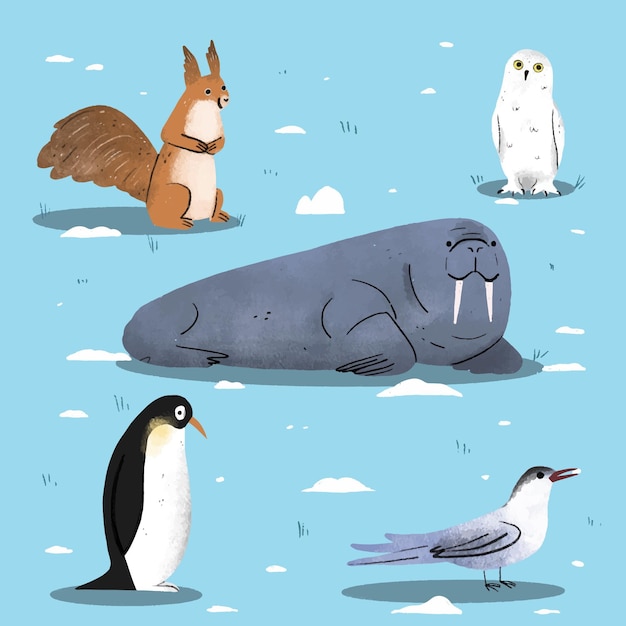 Vector hand drawn winter animals collection