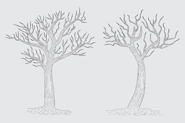 Disegnato a mano inverno nudo albero schizzo vettore alberi spogli senza foglie morto vecchio secco senza lasciare schizzo a matita