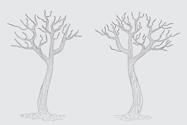 Ручной рисунок зимнего голого дерева. Эскиз векторного голого дерева. Безлистные мертвые старые сухие карандашный набросок без листьев.