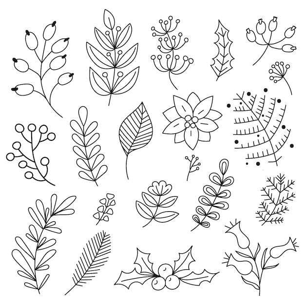 Vector hand drawn winter leaves and branches in doodle style