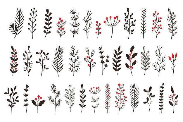 Foglie e rami invernali disegnati a mano. ramoscello floreale, ramo botanico con bacca e foglia doodle