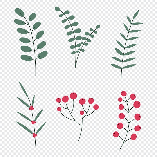 Hand drawn winter leaves and branches Set of plants with flowers spruce branches leaves and berries Vector illustration