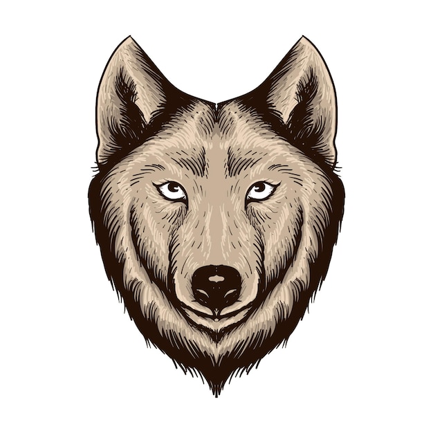 Hand drawn wolf head isolated