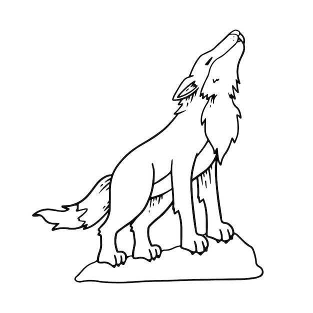 Vector hand drawn wolf outline illustration