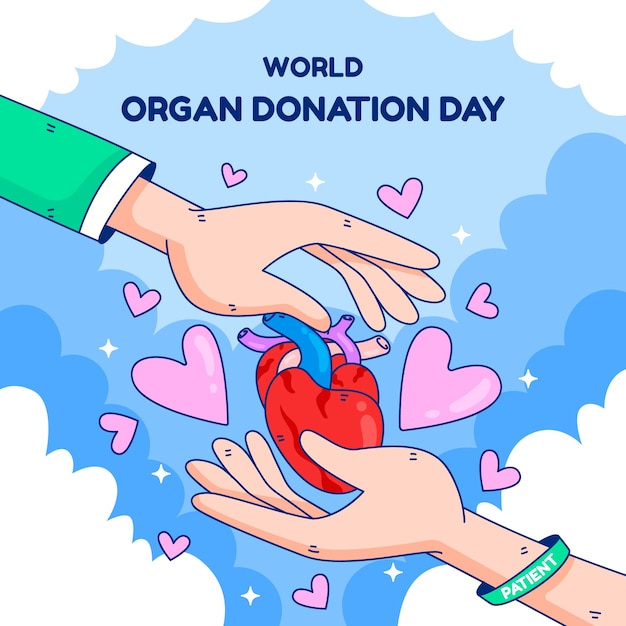 Hand drawn world organ donation day illustration