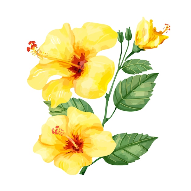 Hand drawn yellow hibiscus flower