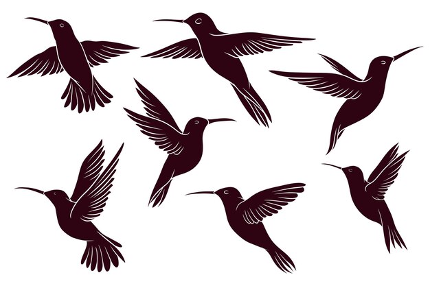 Hand drawns silhouette of hummingbird vector illustration