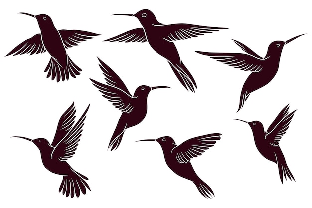 Вектор Ручной рисунок силуэта векторной иллюстрации колибри