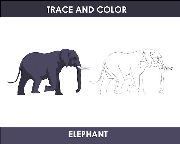 Вектор Нарисованная вручную иллюстрация контура слона трассировка и цвет
