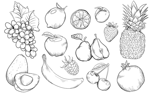 Vector hand drow fruts line collection on white background