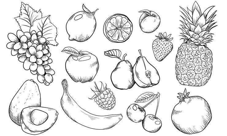 hand drow fruts line collection on white background
