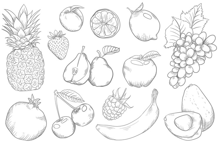 hand drow fruts line collection