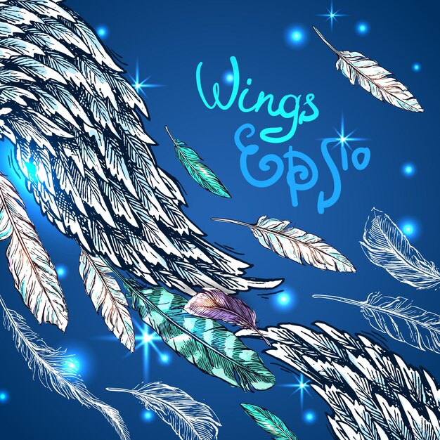 Vector hand drrawn feathers