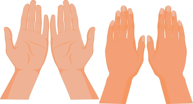 Hand in front and backside Human body parts