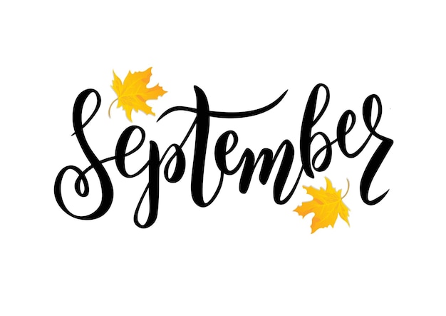 Hand geschetst september tekst Belettering typografie Vectorillustratie