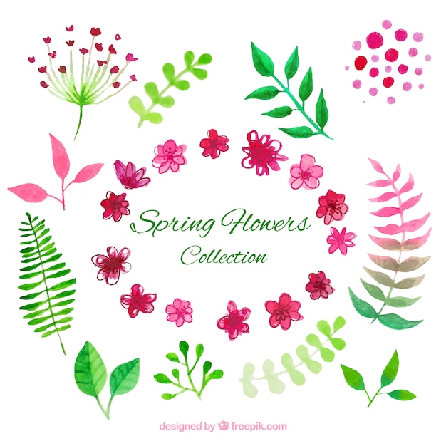 Hand geschilderde lentebloem collectie