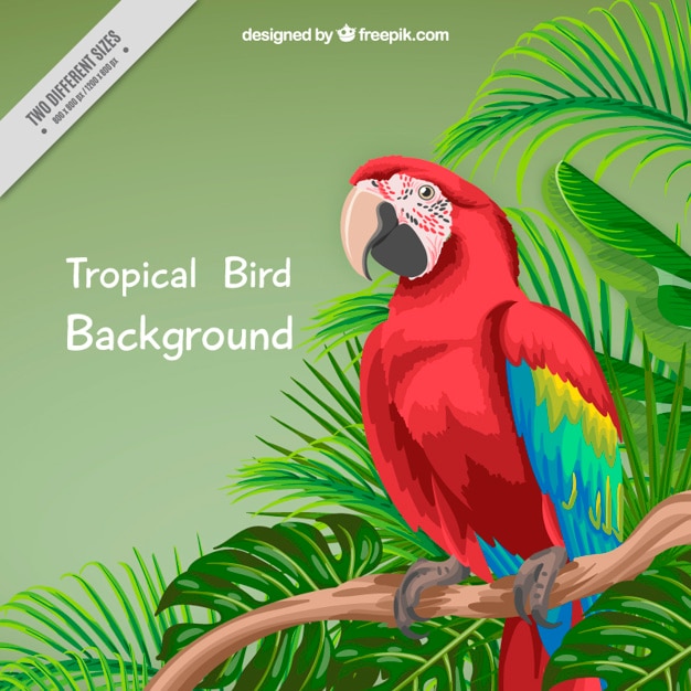Hand geschilderde papegaai en palmbladeren achtergrond