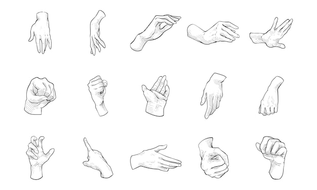 Vector hand gesture handdrawn collection