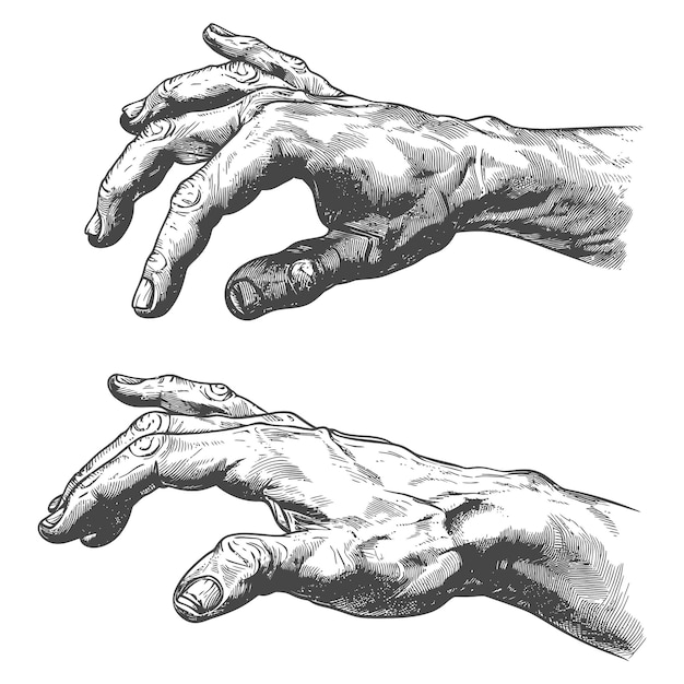 Вектор Жест руки в старом стиле гравировки для рисования ссылки