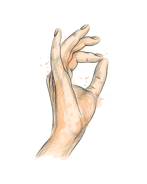 Vector hand gesture ok from a splash of watercolor, hand drawn sketch.  illustration of paints