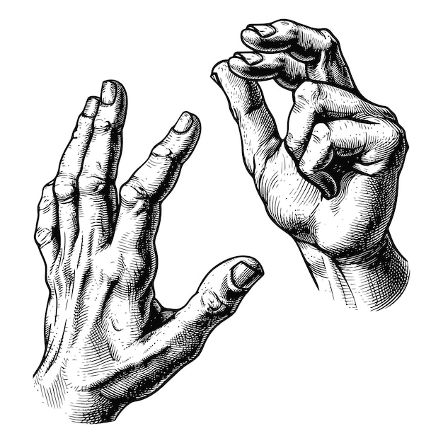 Vector hand gesture in old engraving style for drawing reference