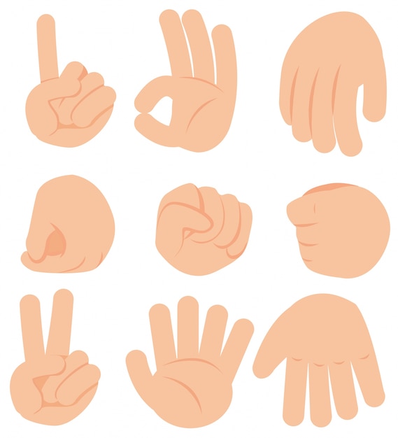 Hand Gesture on White Background