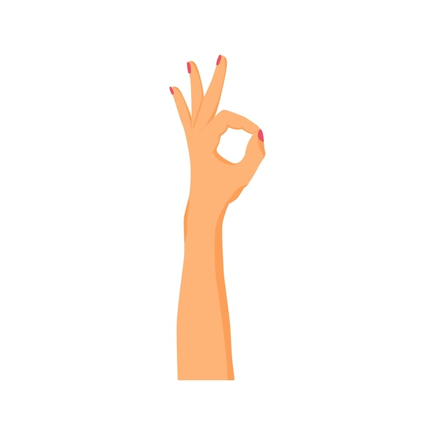 Vector hand gesture with ok sign