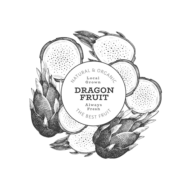 Hand getekend dragon fruit sjabloon. biologische vers voedsel illustratie. retro pitaya fruit banner.