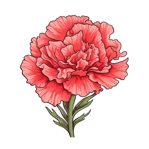 Vector hand getekend egale kleur anjer bloem illustratie