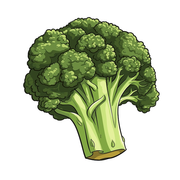 Vector hand getekend egale kleur broccoli illustratie