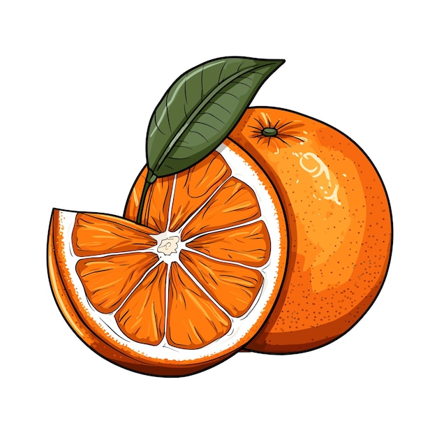Hand getekend egale kleur oranje fruit illustratie