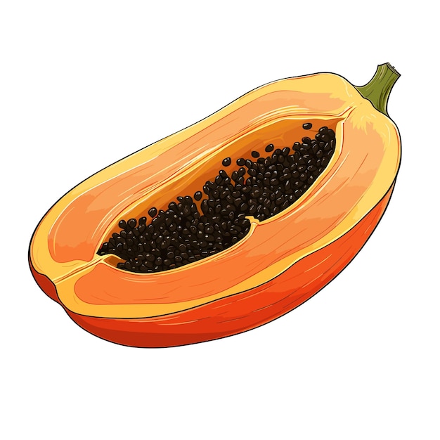 Hand getekend egale kleur papaya fruit illustratie