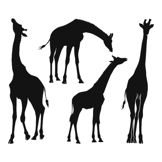Hand getekend giraf silhouet