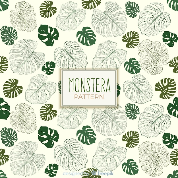 Hand getekend monstera patroon