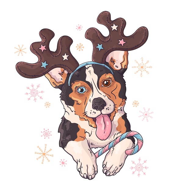 Hand getekend portret van corgi hond in kerstaccessoires.